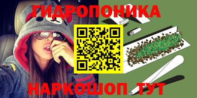 Альфа ПВП Кимры